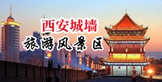 我的骚逼啊啊啊中国陕西-西安城墙旅游风景区